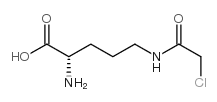 N-delta-chloroacetyl-L-ornithine structure