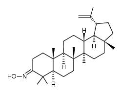 lup-20(29)-en-3-oxime结构式