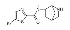 N-(3-azabicyclo[2.2.1]heptan-5-yl)-5-bromo-1,3-thiazole-2-carboxamide Structure