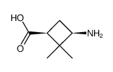 Cyclobutanecarboxylic acid, 3-amino-2,2-dimethyl-, (1S,3R)- (9CI) Structure