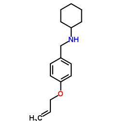 N-[4-(Allyloxy)benzyl]cyclohexanamine Structure