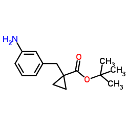 2-Methyl-2-propanyl 1-(3-aminobenzyl)cyclopropanecarboxylate Structure