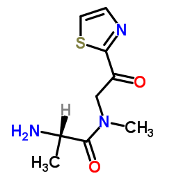 N-Methyl-N-[2-oxo-2-(1,3-thiazol-2-yl)ethyl]alaninamide结构式