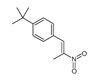 1-tert-butyl-4-(2-nitroprop-1-enyl)benzene Structure