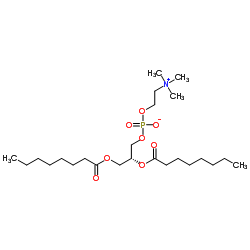 1,2-二辛酰基-sn-甘油-3-磷酸胆碱图片