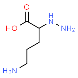 alpha-hydrazinoornithine Structure
