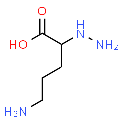 alpha-hydrazinoornithine structure