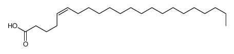 (Z)-5-Docosenoic acid picture