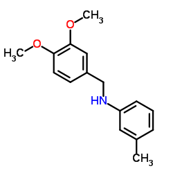 N-(3,4-Dimethoxybenzyl)-3-methylaniline结构式