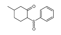 2-(benzenesulfinyl)-5-methylcyclohexan-1-one结构式