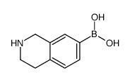 B-(1,2,3,4-tetrahydro-7-isoquinolinyl)boronic acid Structure