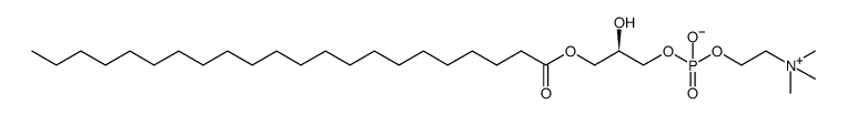 1-BEHENOYL-2-HYDROXY-SN-GLYCERO-3-PHOSPHOCHOLINE structure