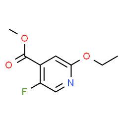 Methyl 2-ethoxy-5-fluoroisonicotinate picture