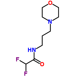 2,2-Difluoro-N-(3-morpholin-4-yl-propyl)-acetamide结构式