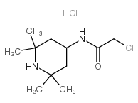 2-CHLORO-N-(2,2,6,6-TETRAMETHYLPIPERIDIN-4-YL)ACETAMIDE HYDROCHLORIDE picture