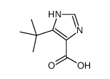 5-(叔丁基)-1H-咪唑-4-羧酸结构式