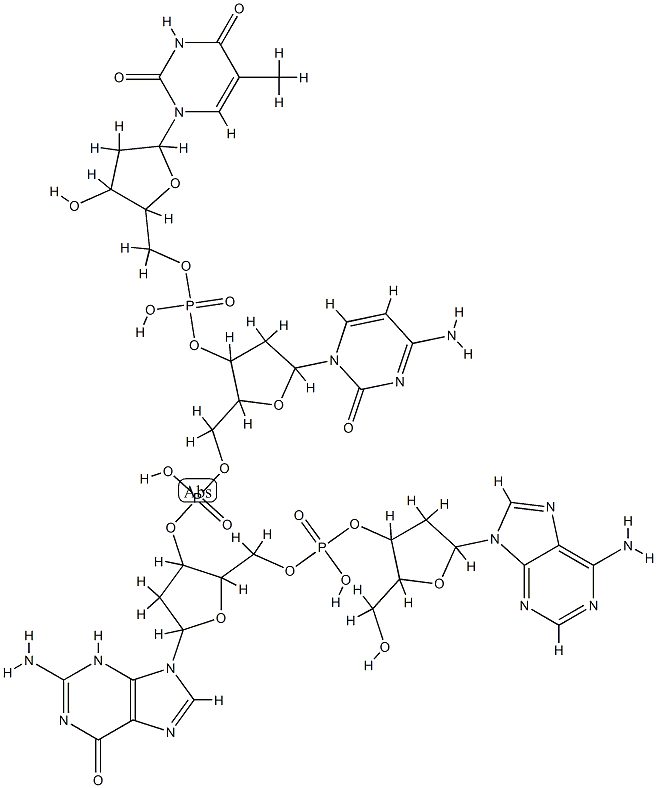 deoxy(thymidylyl-cytidylyl-guanylyl-adenylic acid)结构式