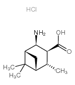 (1R,2R,3S,4R,5R)-2-Amino-4,6,6-trimethylbicyclo[3.1.1]heptane-3-carboxylic acid hydrochloride picture