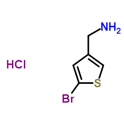 1-(5-Bromo-3-thienyl)methanamine hydrochloride (1:1)图片