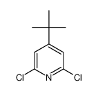 4-(tert-Butyl)-2,6-dichloropyridine Structure