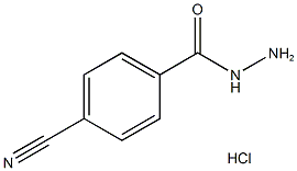 4-Cyanobenzohydrazide hydrochloride Structure