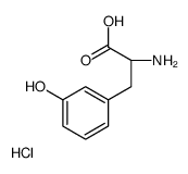 (2S)-2-amino-3-(3-hydroxyphenyl)propanoic acid,hydrochloride structure