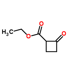 Cyclobutanecarboxylic acid, 2-oxo-, ethyl ester (9CI) Structure