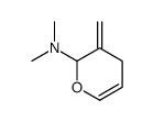 2H-Pyran-2-amine,3,4-dihydro-N,N-dimethyl-3-methylene-(9CI)结构式