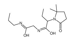 2-(2,2-dimethyl-5-oxopyrrolidin-1-yl)-N-[2-oxo-2-(propylamino)ethyl]butanamide Structure