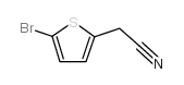 2-(5-bromothiophen-2-yl)acetonitrile picture