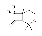 7,7-dichloro-2,2,6-trimethyl-3-oxabicyclo[4.2.0]octan-8-one结构式