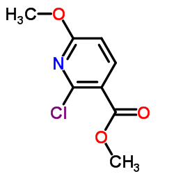2-氯-6-甲氧基烟酸甲酯图片
