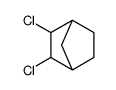 Bicyclo[2.2.1]heptane, 2,3-dichloro- (9CI) structure