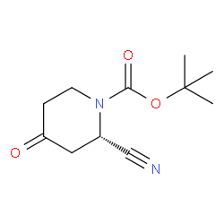 (S)-2-氰基-4-氧代哌啶-1-羧酸叔丁酯结构式