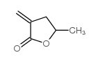 Dihydro-5-methyl-3-methylene-2(3H)-furanone picture