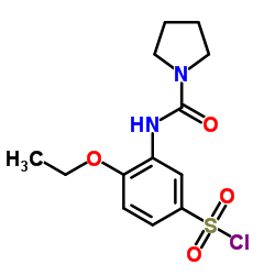 4-ETHOXY-3-[(PYRROLIDINE-1-CARBONYL)-AMINO]-BENZENESULFONYL CHLORIDE picture