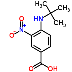 4-TERT-BUTYLAMINO-3-NITRO-BENZOIC ACID picture