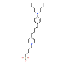 NEURODYE RH-160, PURE Structure