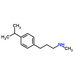 3-(4-Isopropylphenyl)-N-methyl-1-propanamine结构式