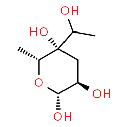 yersiniose structure