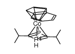 (η5-indenyl)(η4-2,4-di-isopropyl-1,3-diphosphacyclobutadiene)cobalt结构式