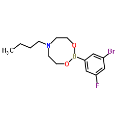 3-Bromo-5-fluorophenylboronic acid N-butyldiethanolamine ester picture
