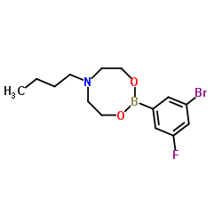 3-Bromo-5-fluorophenylboronic acid N-butyldiethanolamine ester图片