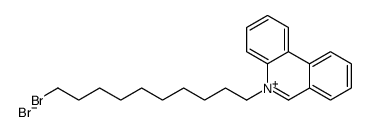 5-(10-bromodecyl)phenanthridin-5-ium,bromide结构式