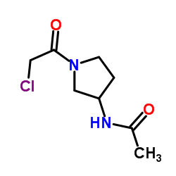 N-[1-(Chloroacetyl)-3-pyrrolidinyl]acetamide结构式