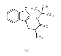 tert-butyl (2S)-2-amino-3-(1H-indol-3-yl)propanoate Structure