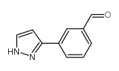 3-(1H-吡唑-3-甲基)苯甲醛结构式