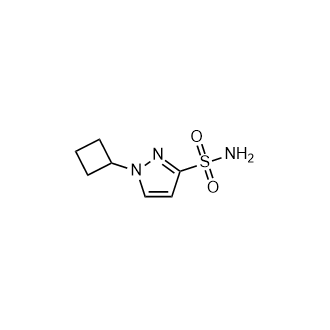 1-Cyclobutyl-1H-pyrazole-3-sulfonamide Structure
