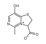 8-Hydroxy-5-methyl-2,3-dihydrothiazolo[3,2-c]pyrimidinium-3-carboxylate Structure