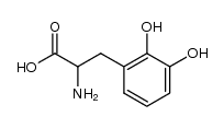 2-amino-3-(2,3-dihydroxyphenyl)propanoic acid structure